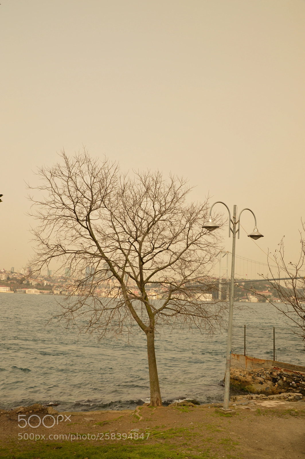 Nikon D3200 sample photo. Untitled photography