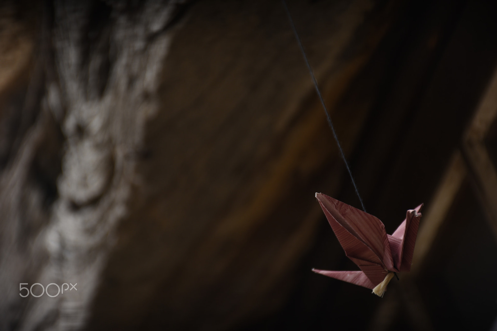 Nikon D5500 sample photo. Old origami photography