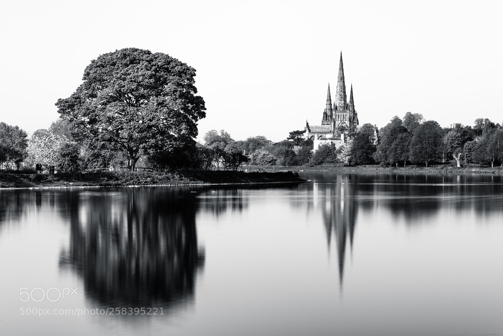 Nikon D810 sample photo. Lichfield cathedral with stowe photography