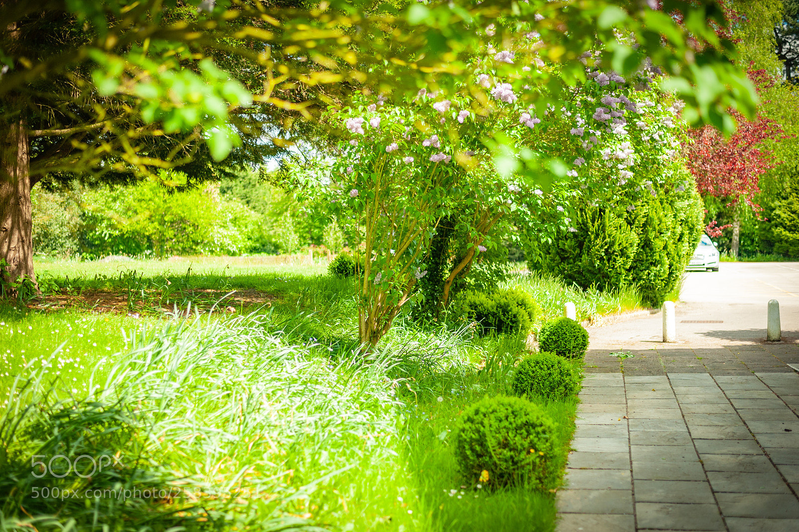 Nikon D700 sample photo. A test shot for photography