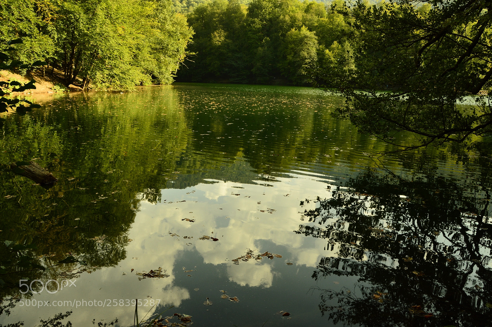 Nikon D3200 sample photo. Untitled photography