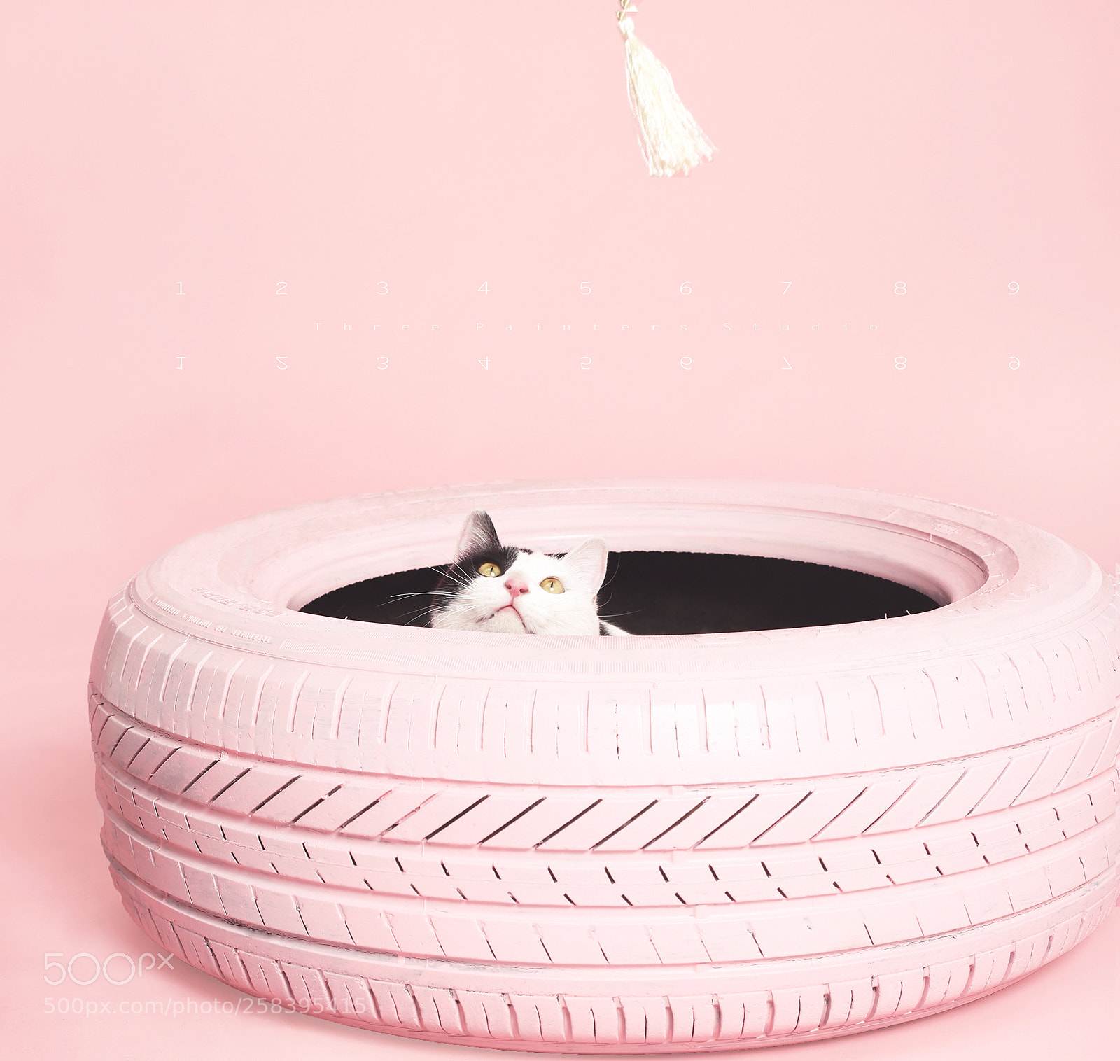 Canon EOS 6D sample photo. -pink photography