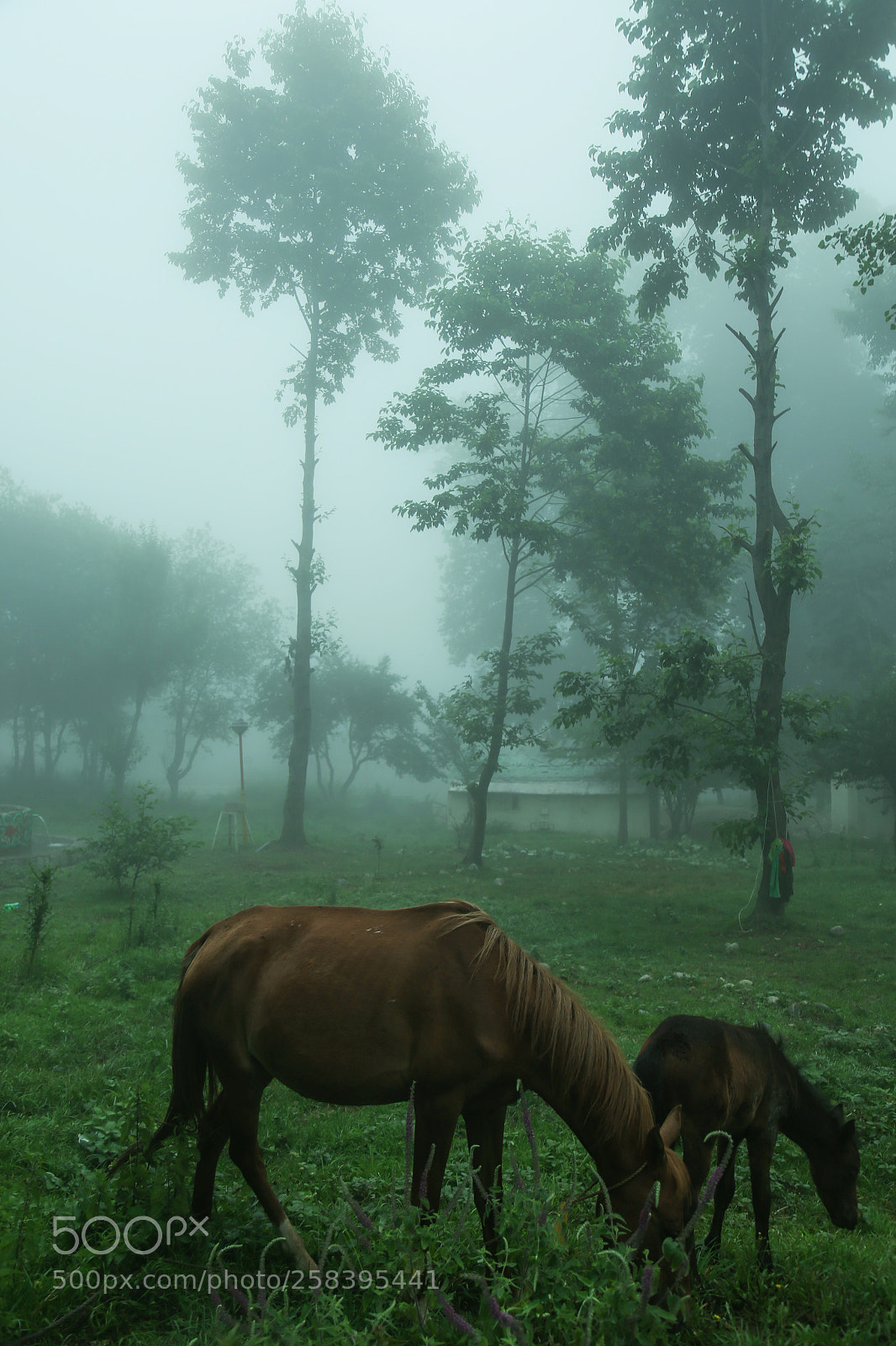 Canon EOS 6D sample photo. Untitled photography