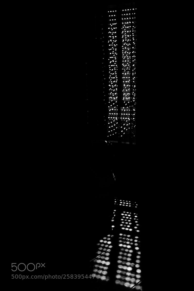 Canon EOS 7D Mark II sample photo. La luz comienza a photography
