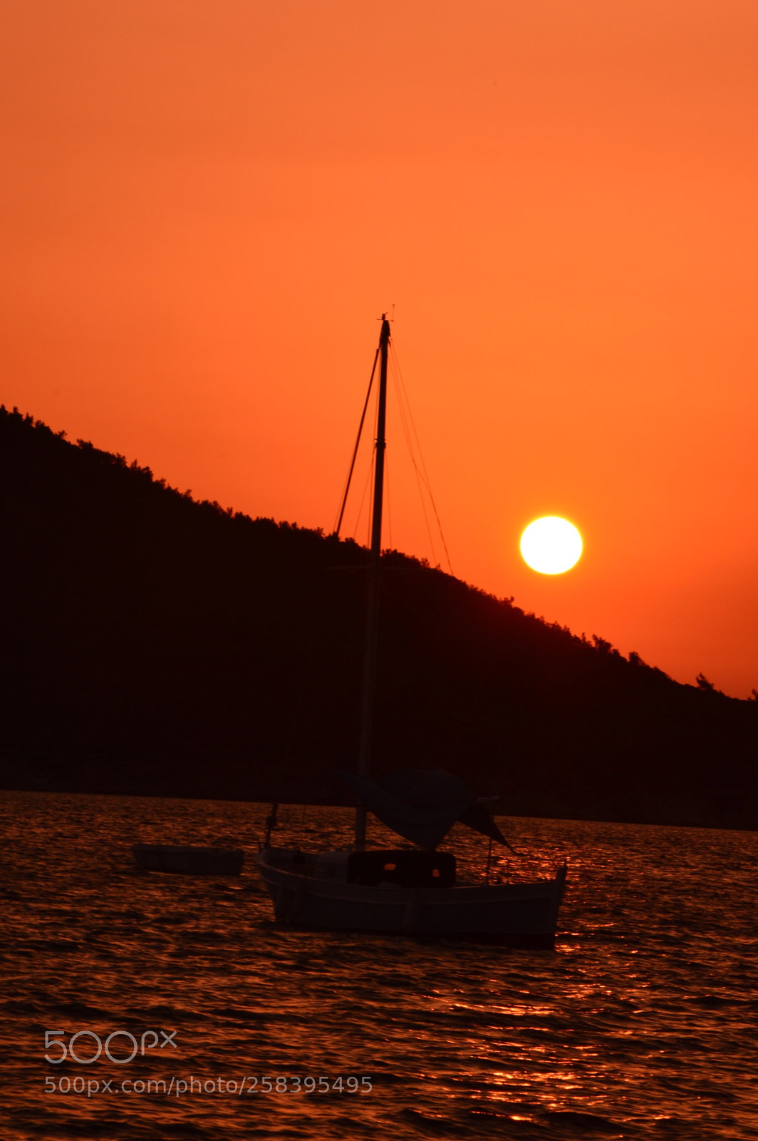 Nikon D3200 sample photo. Untitled photography