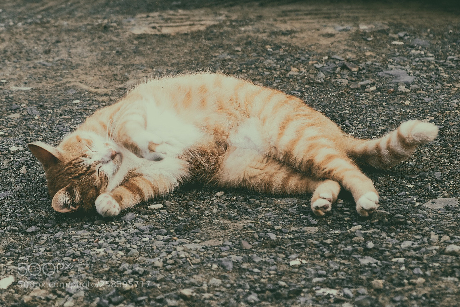 Fujifilm X-T2 sample photo. Untitled photography