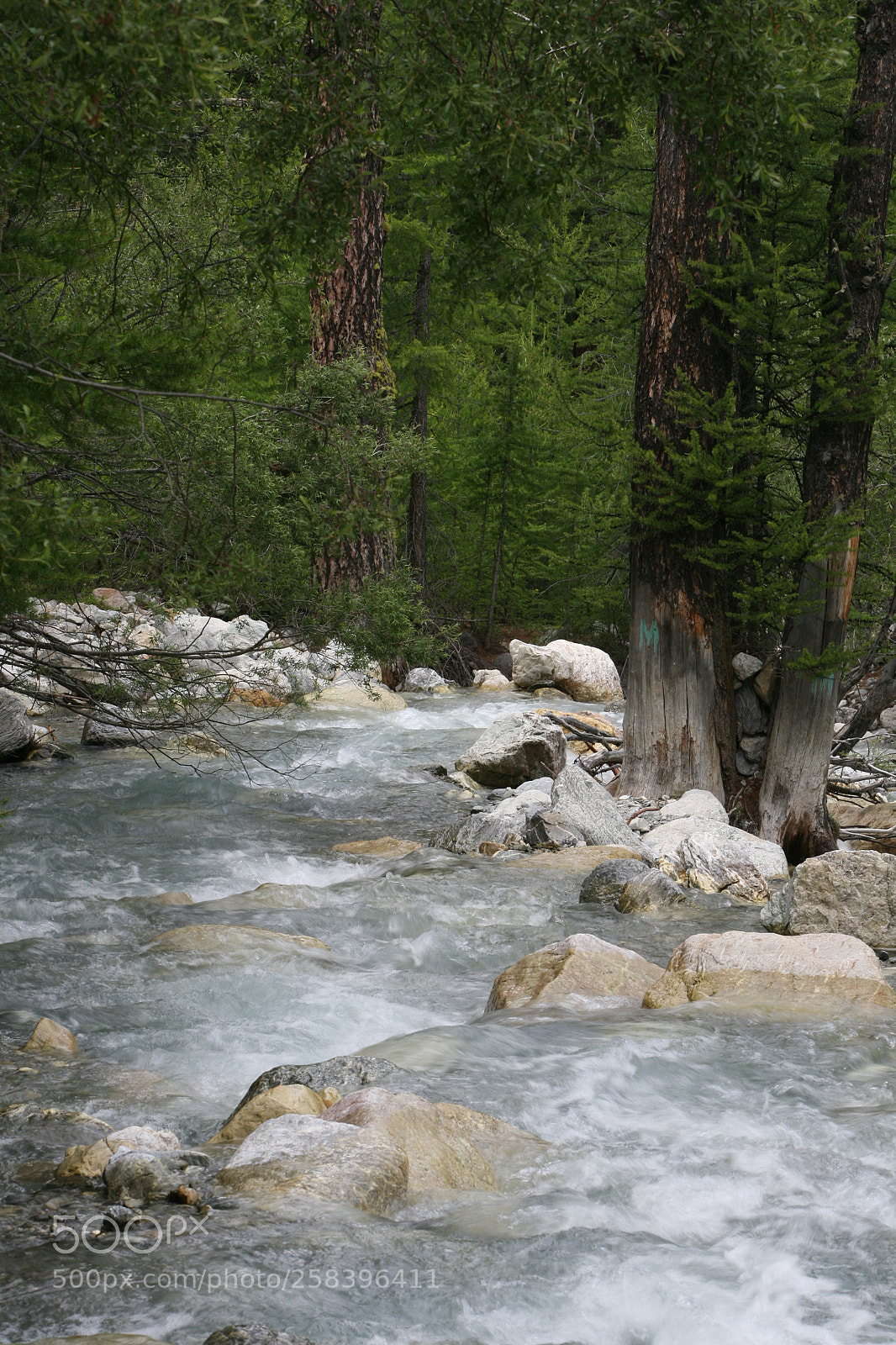 Canon EOS 5D sample photo. Img photography