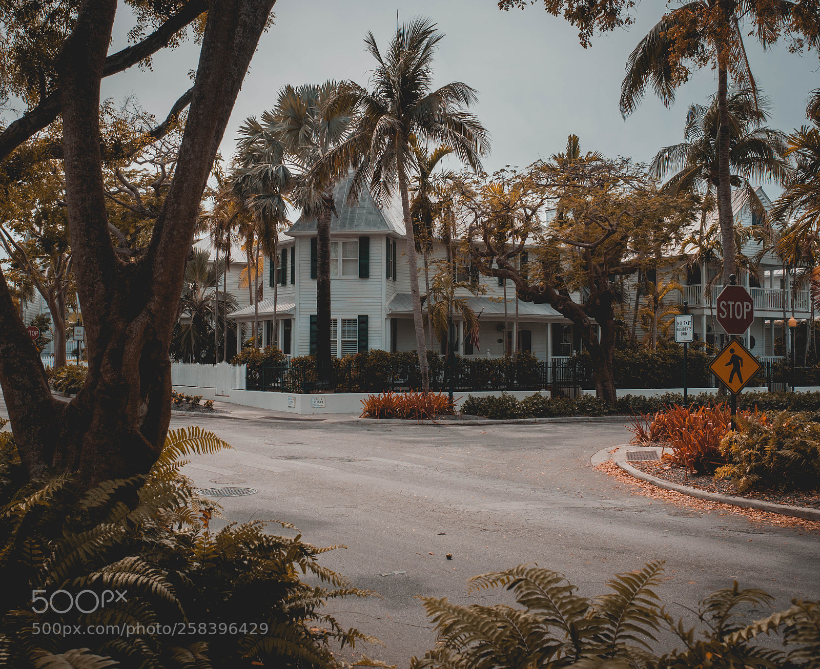 Olympus OM-D E-M5 II sample photo. Key west photography