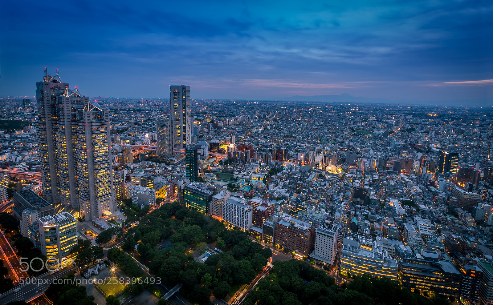 Canon EOS 6D sample photo. Dusky tokyo photography