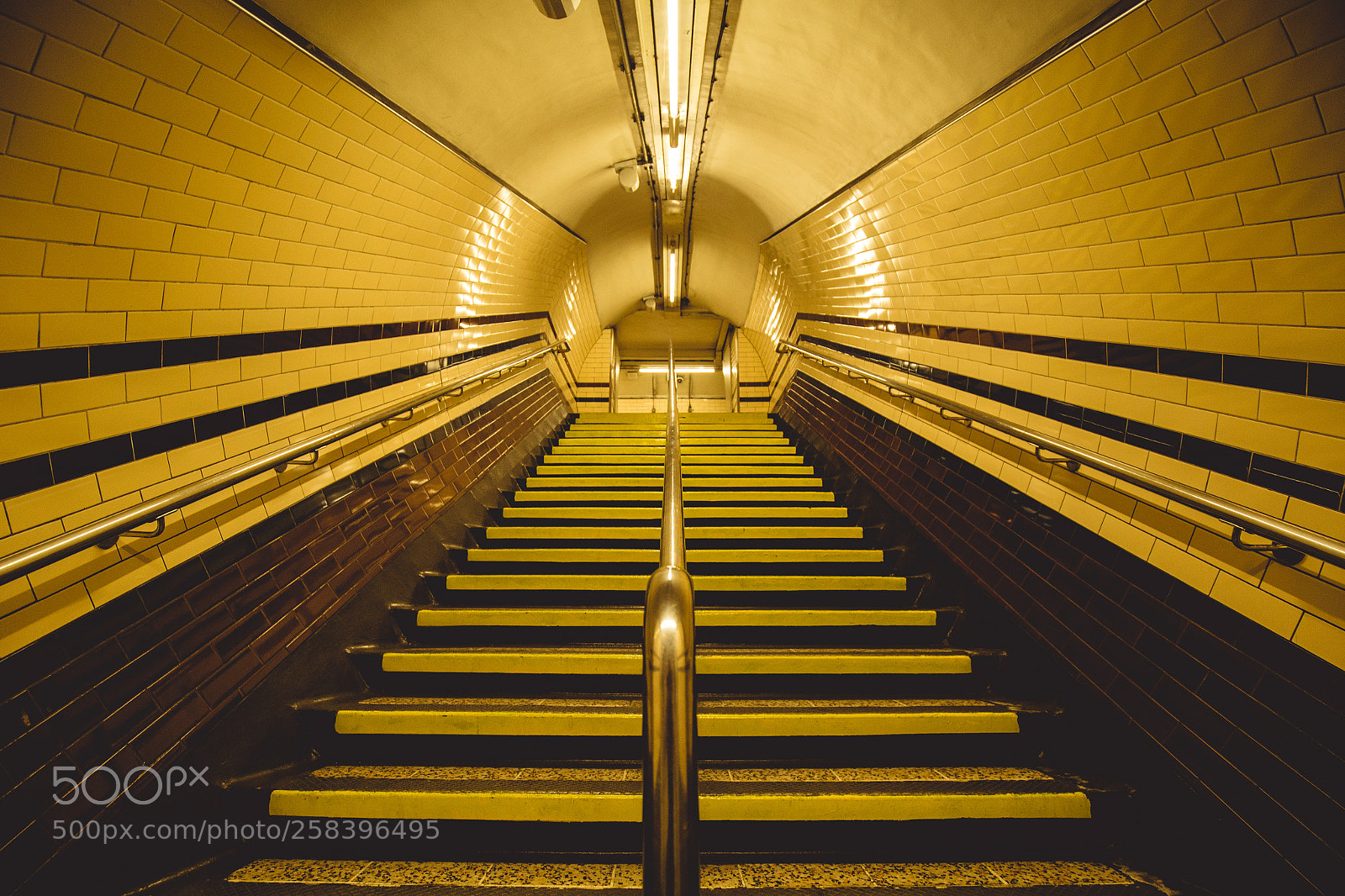 Canon EOS 6D sample photo. Moody yellow tunnel and photography