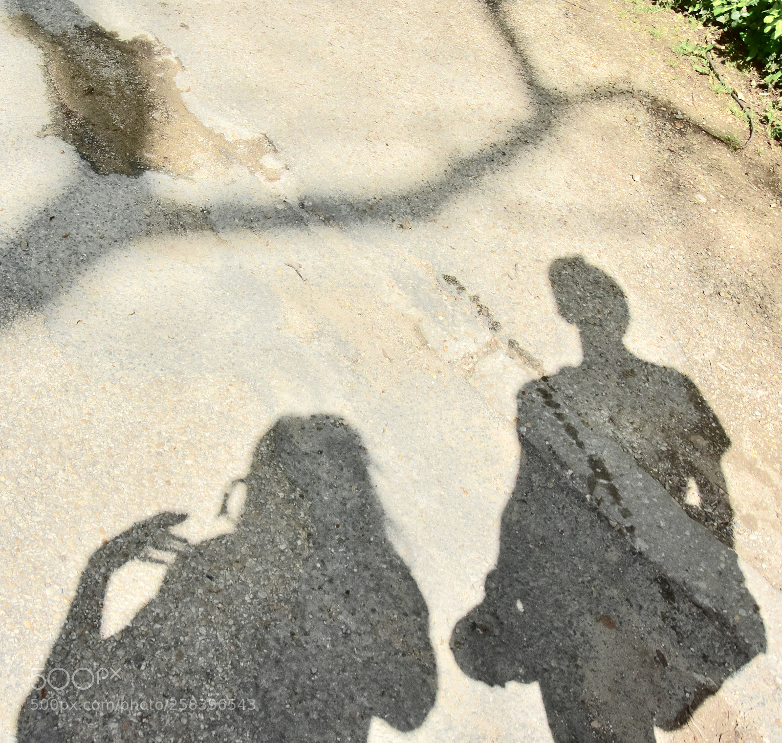 Nikon D3400 sample photo. Step by step photography