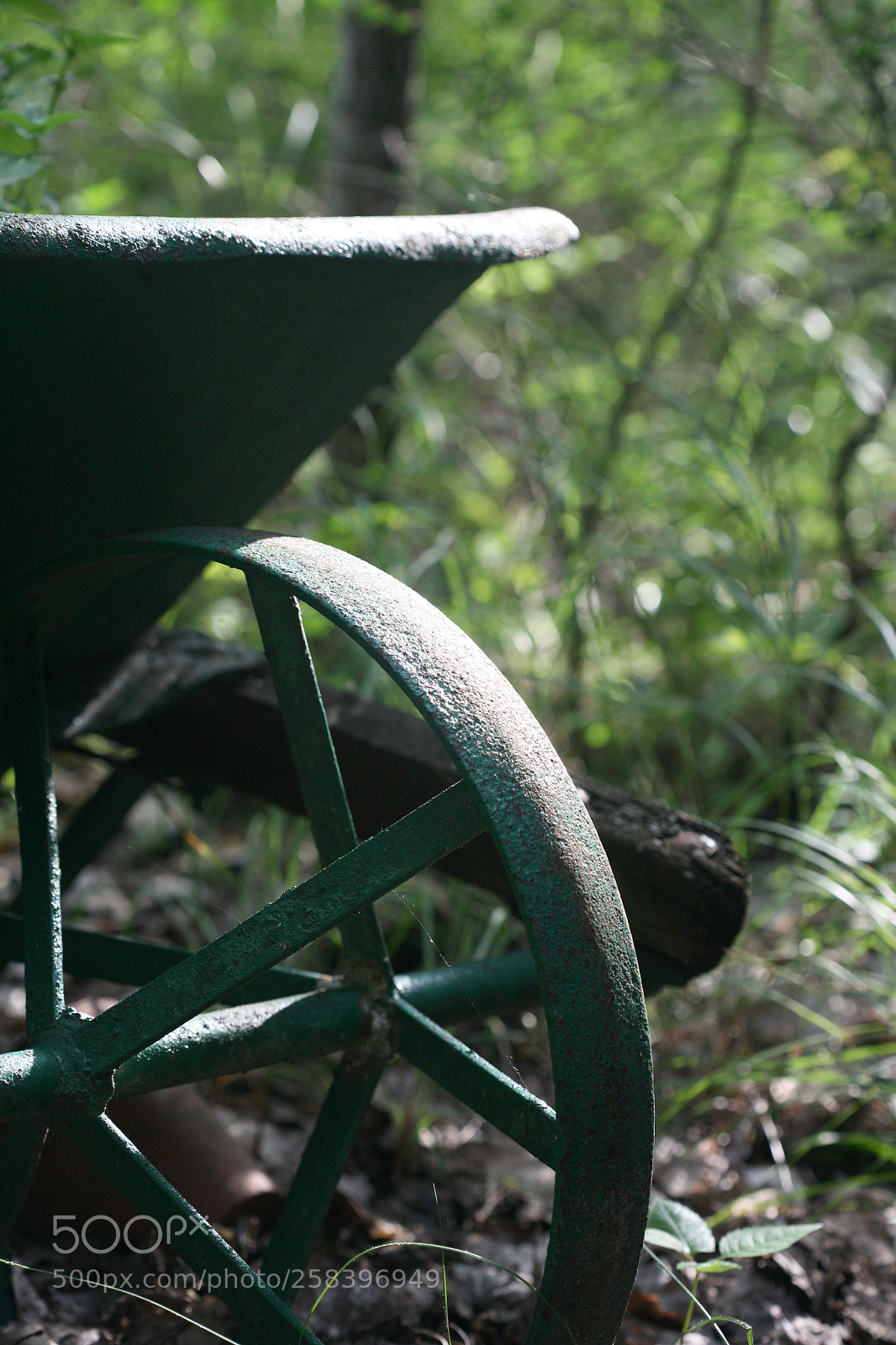 Canon EOS 5D sample photo. Img photography