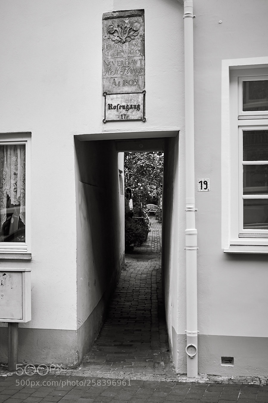 Nikon D750 sample photo. Rosengang, rosenstr. 17, l photography