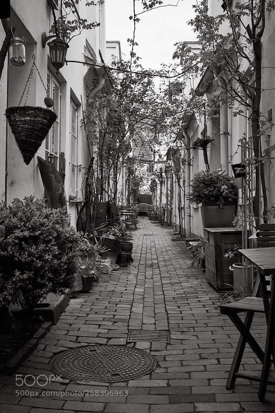 Nikon D750 sample photo. Rosengang, innenhof, rosenstra e photography