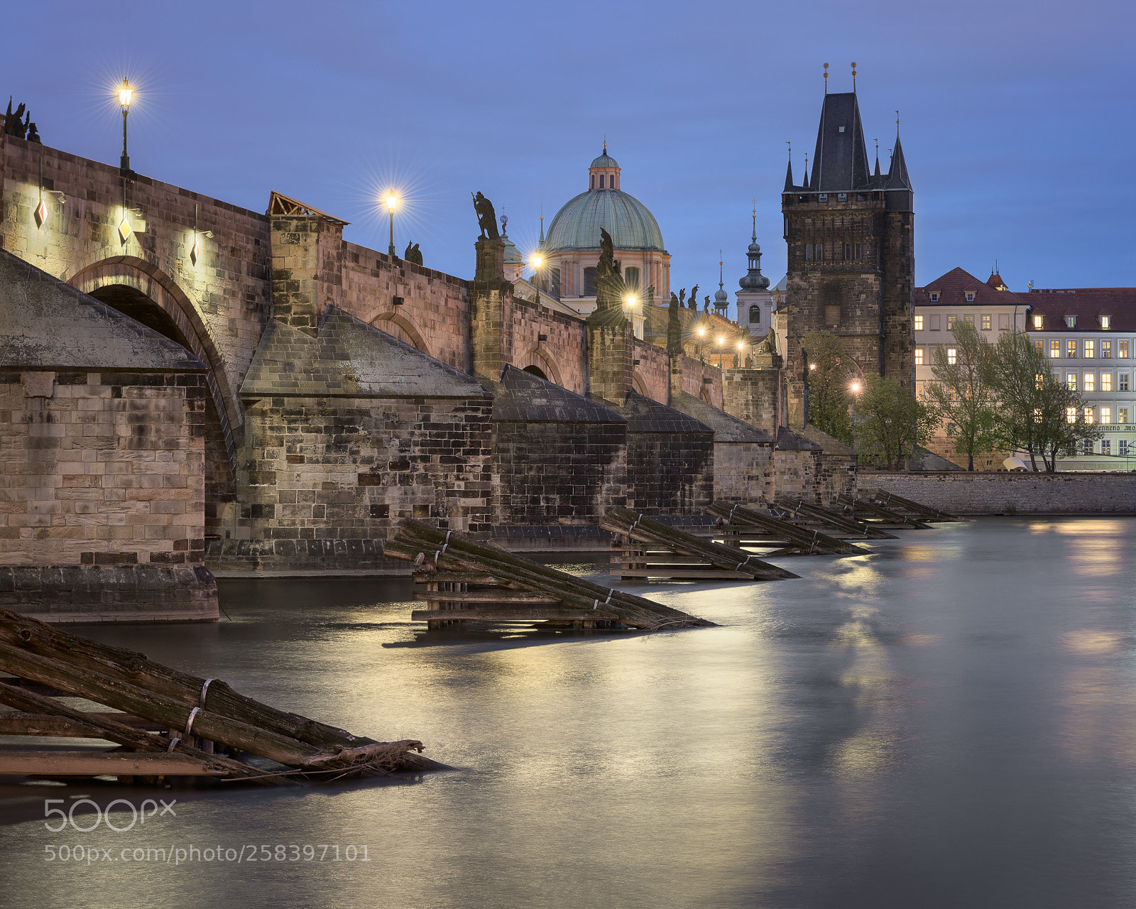 Nikon D810 sample photo. Charles bridge in the photography