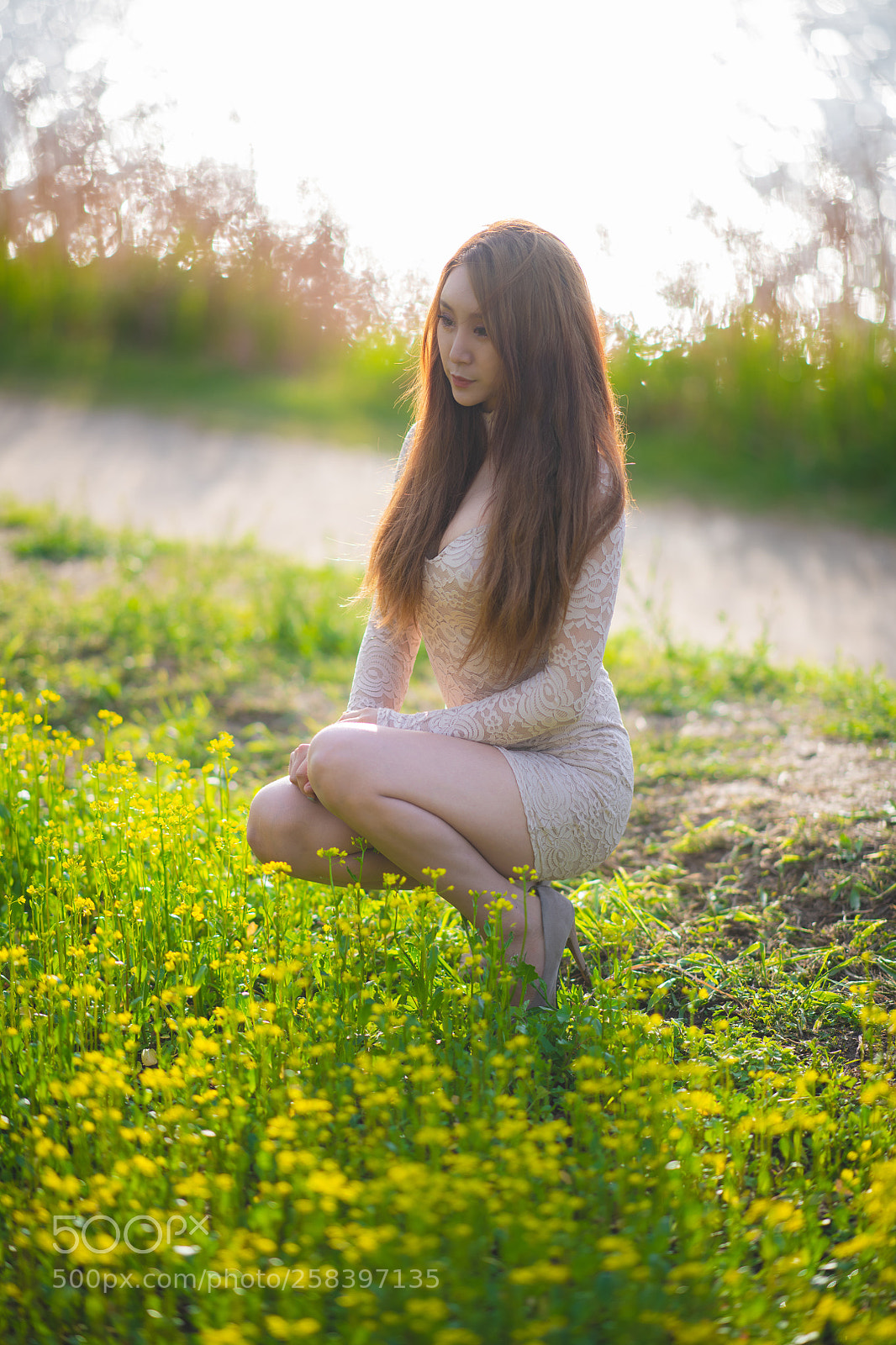 Nikon D850 sample photo. Rape flower photography