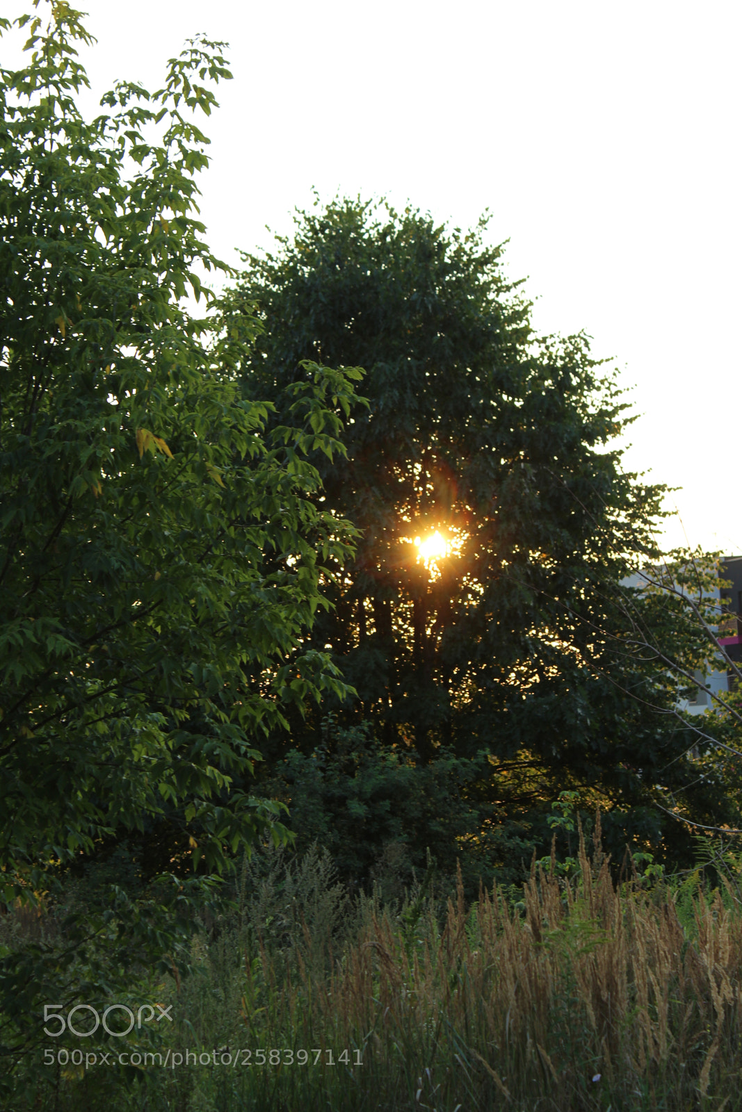 Canon EOS 1300D (EOS Rebel T6 / EOS Kiss X80) sample photo. Landscape photography