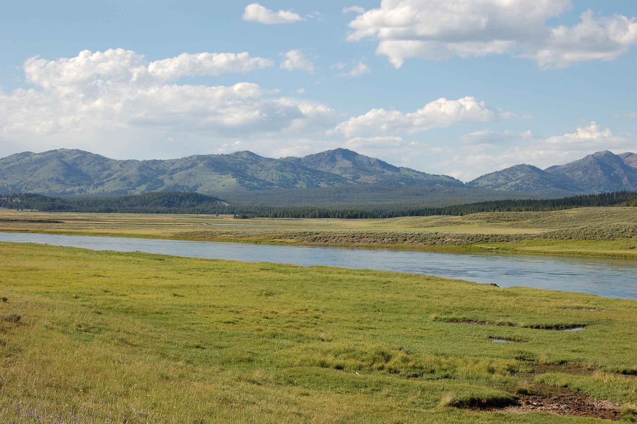 Nikon D50 sample photo. In yellowstone np photography