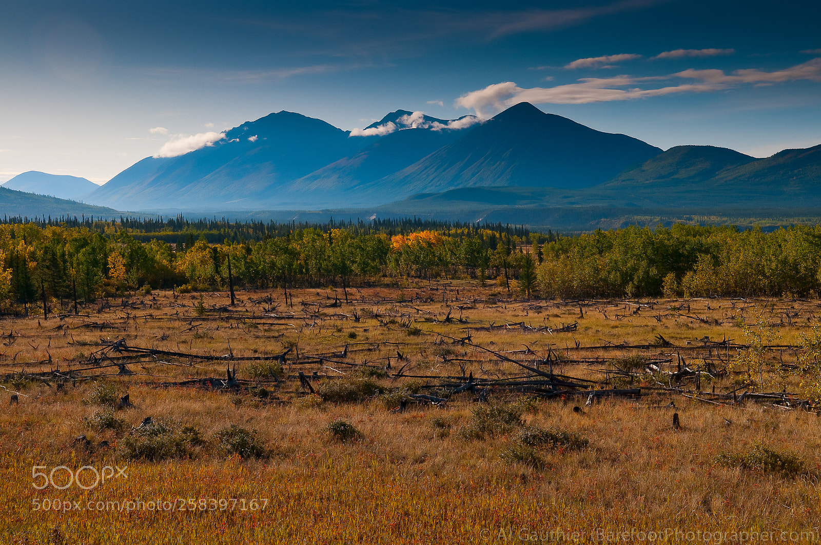 Nikon D300 sample photo. Alaskan landscape photography