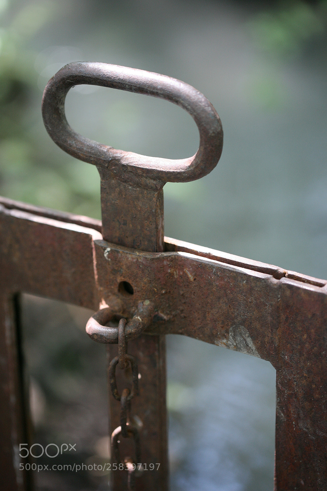 Canon EOS 5D sample photo. Img photography