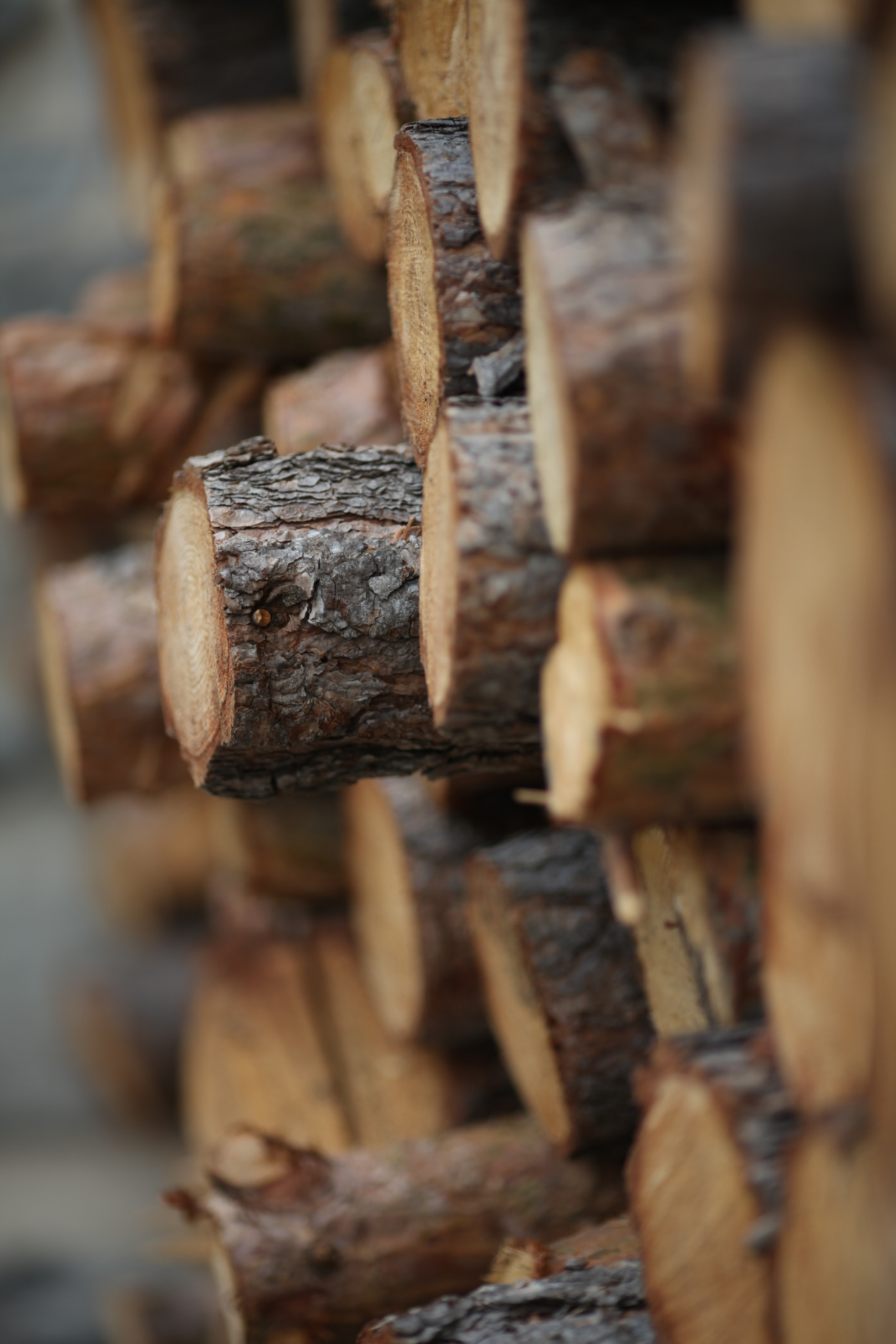 Canon EF 135mm F2L USM sample photo. Img photography