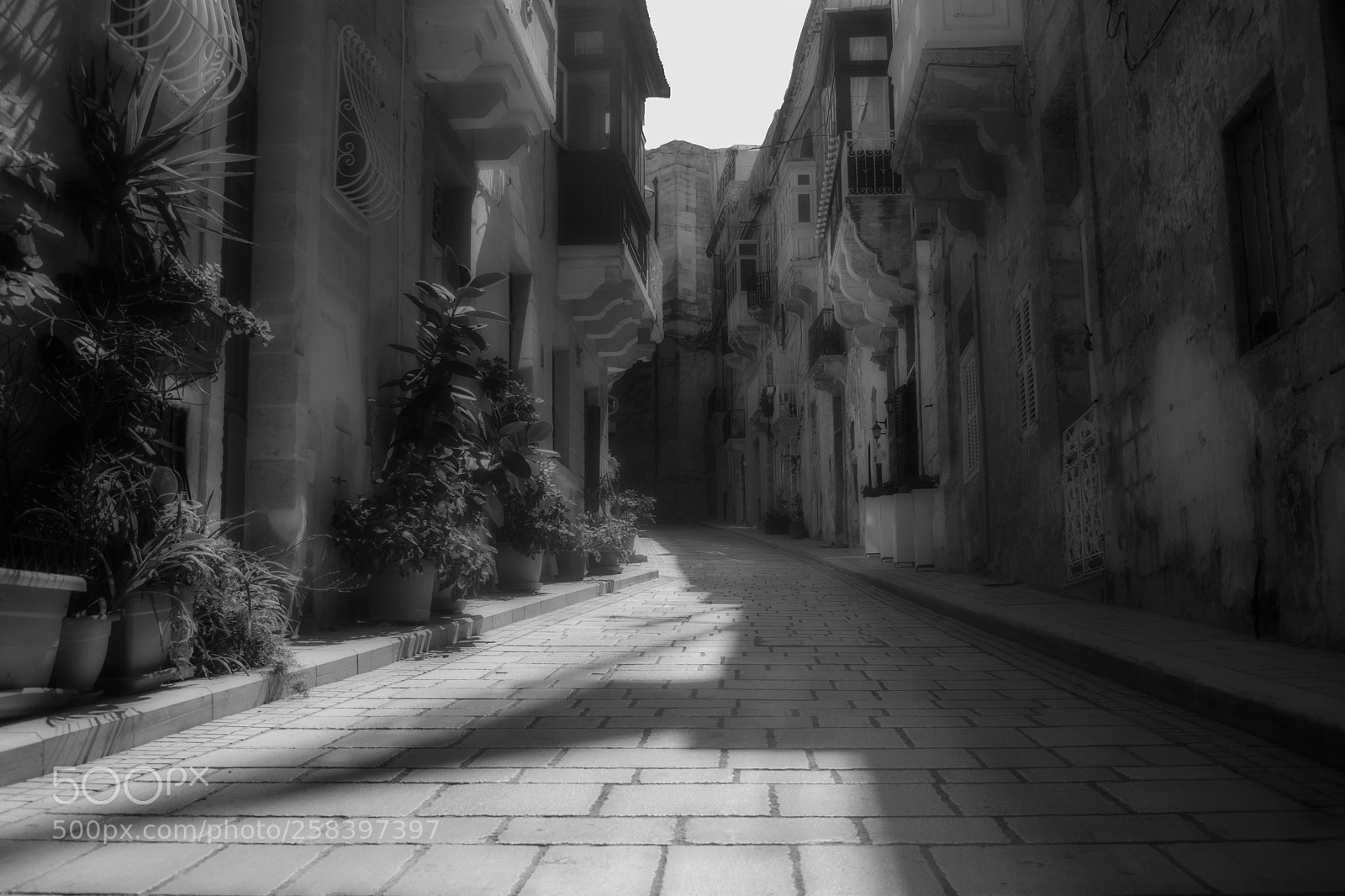 Nikon D3300 sample photo. Old historical road in photography