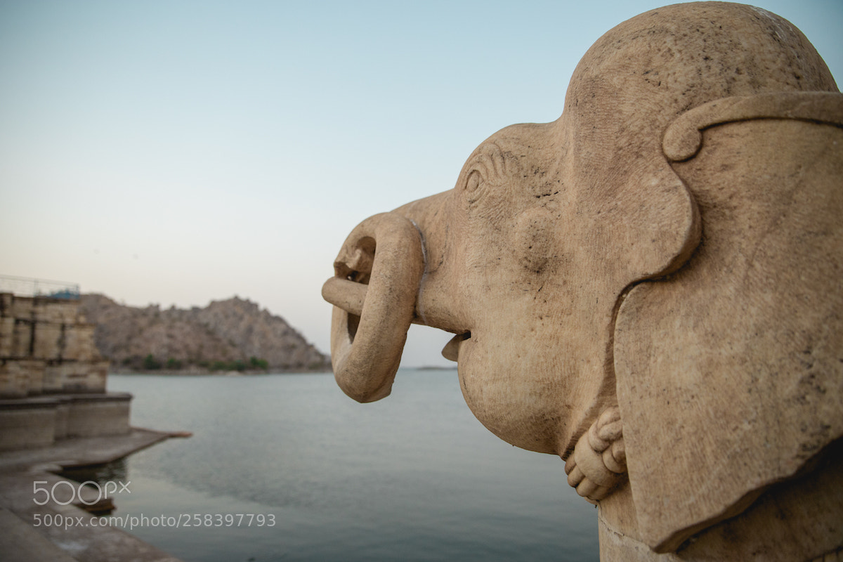 Canon EOS 6D Mark II sample photo. Img photography