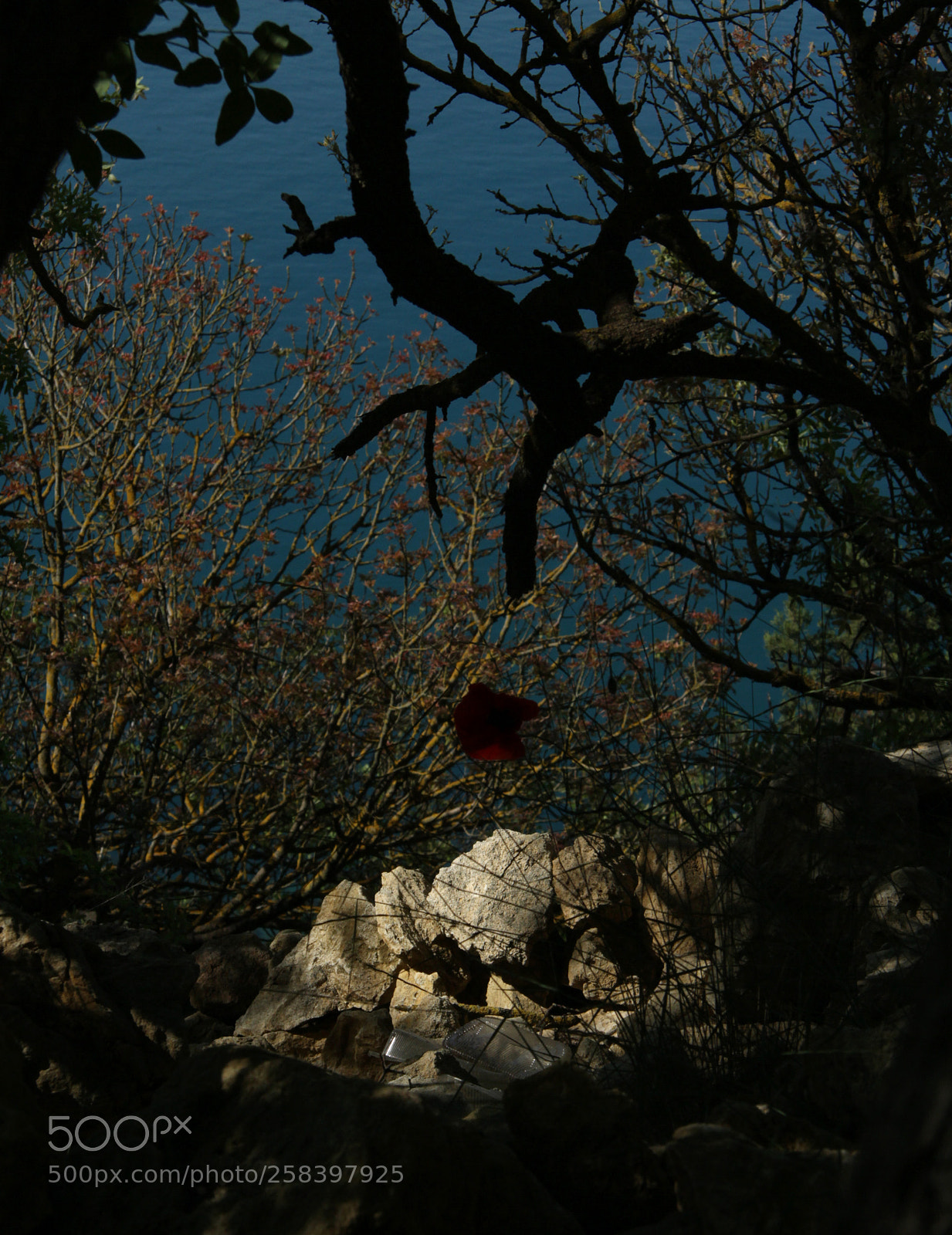 Canon EOS 7D sample photo. Dark light photography