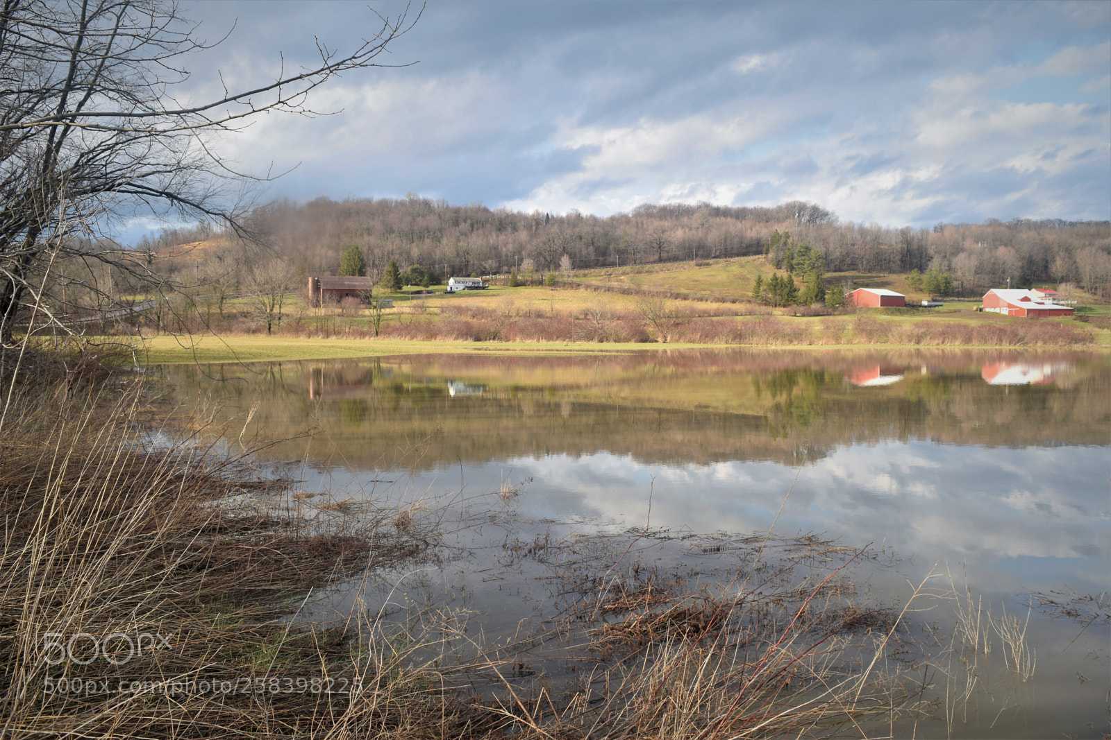 Nikon D3300 sample photo. Reflection in a flood photography