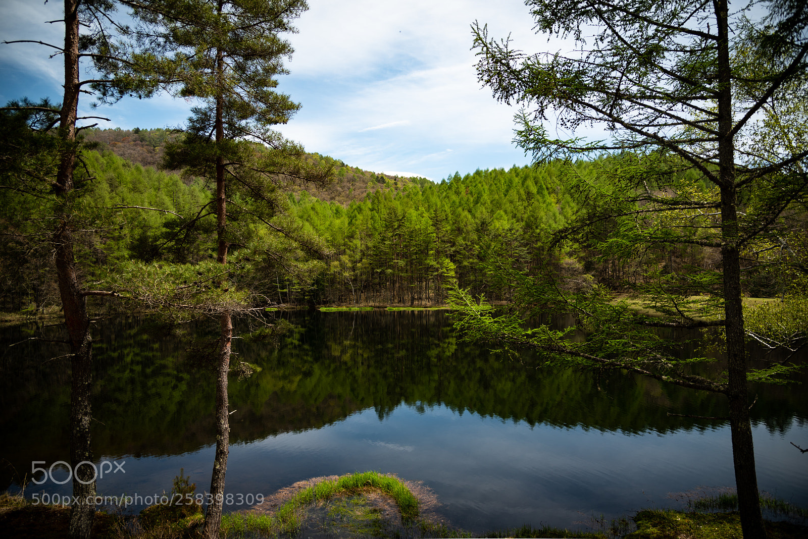 Nikon D750 sample photo. Mishaka lake photography