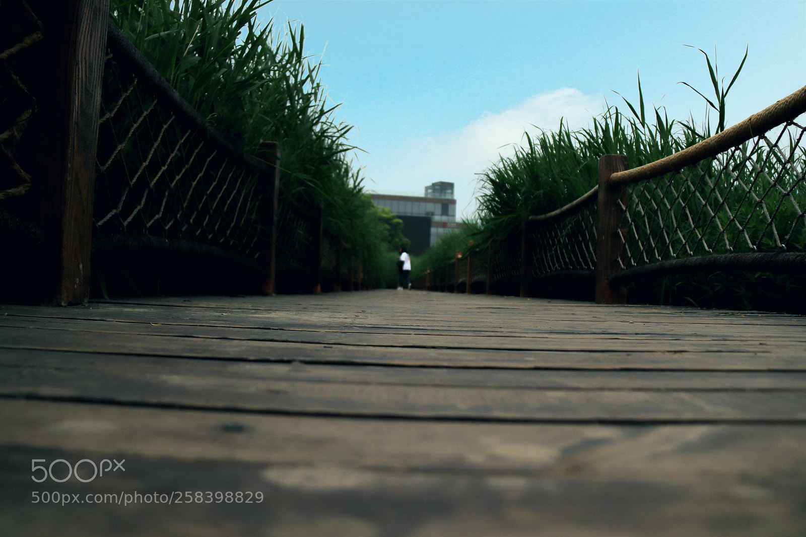 Canon EOS 77D (EOS 9000D / EOS 770D) sample photo. Untitled photography