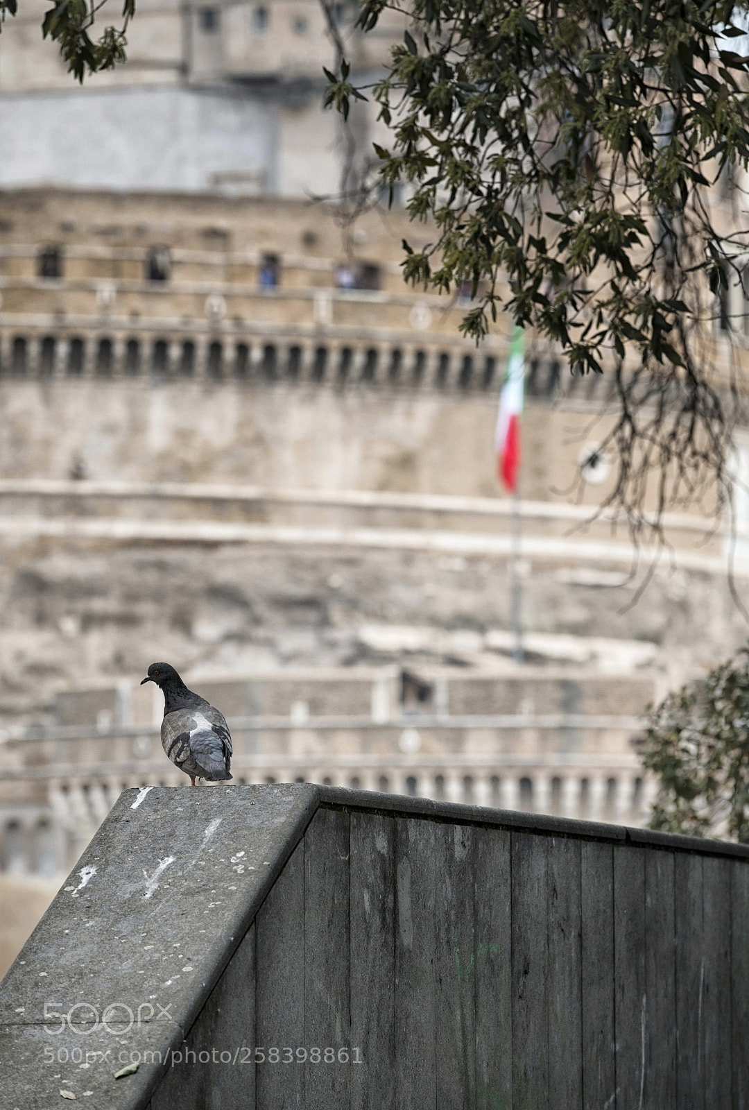 Fujifilm X-T2 sample photo. Pigeon against castel san photography