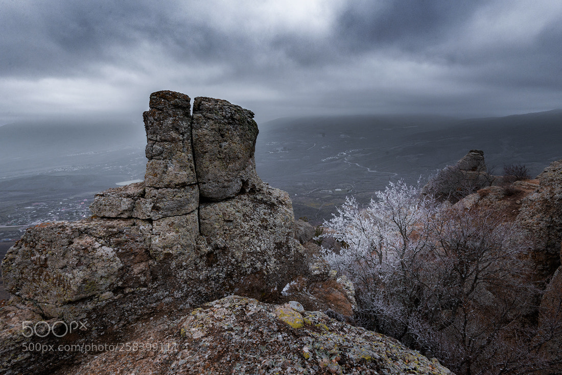 Nikon D610 sample photo. Winter dusk photography