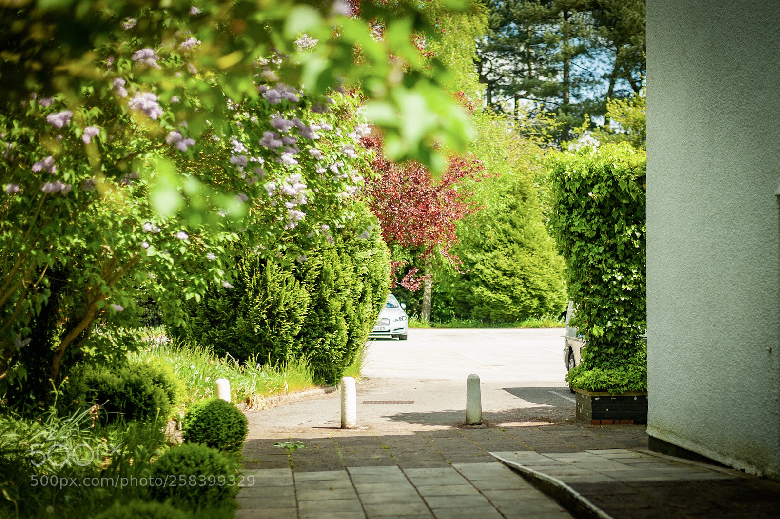 Nikon D700 sample photo. Untitled photography