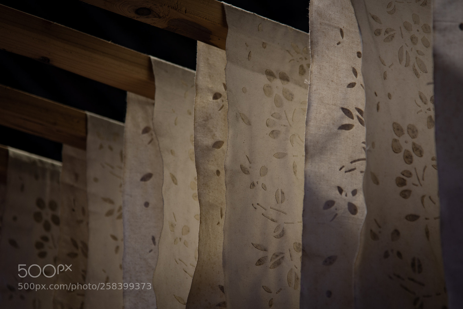 Nikon D750 sample photo. Untitled photography