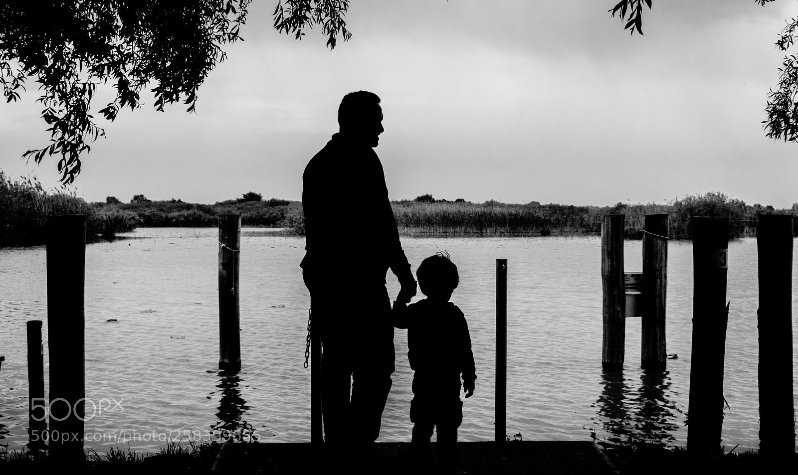 Nikon D3300 sample photo. Father and son photography