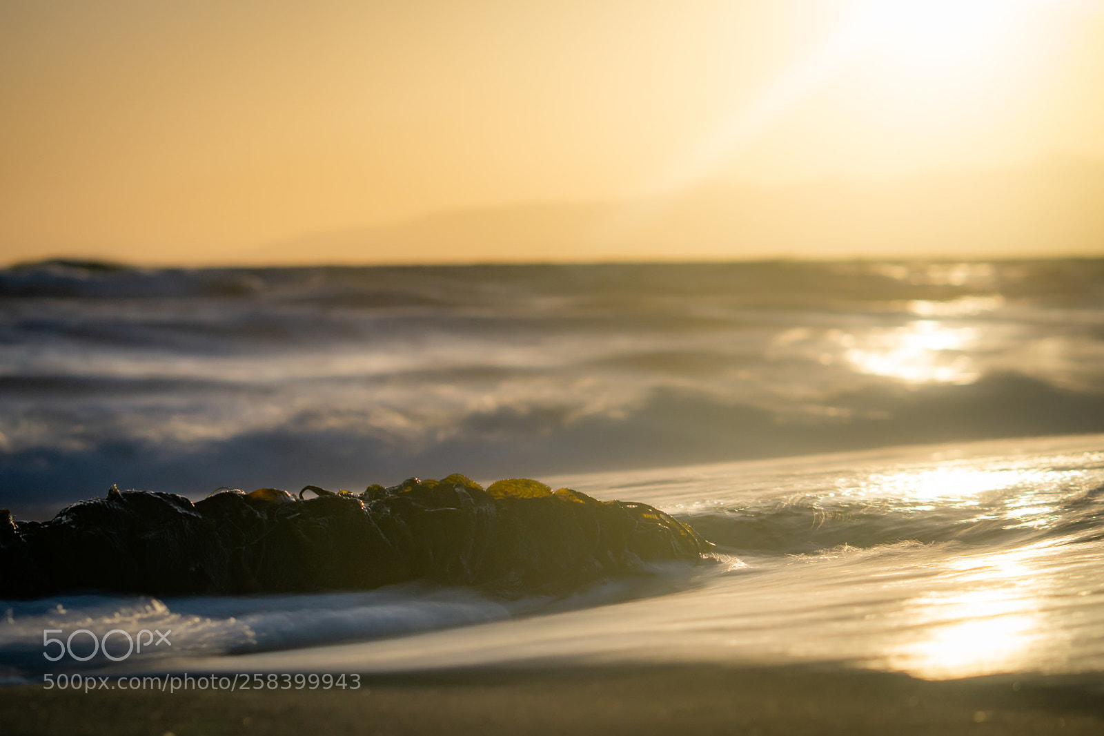 Sony a6000 sample photo. Venice beach photography