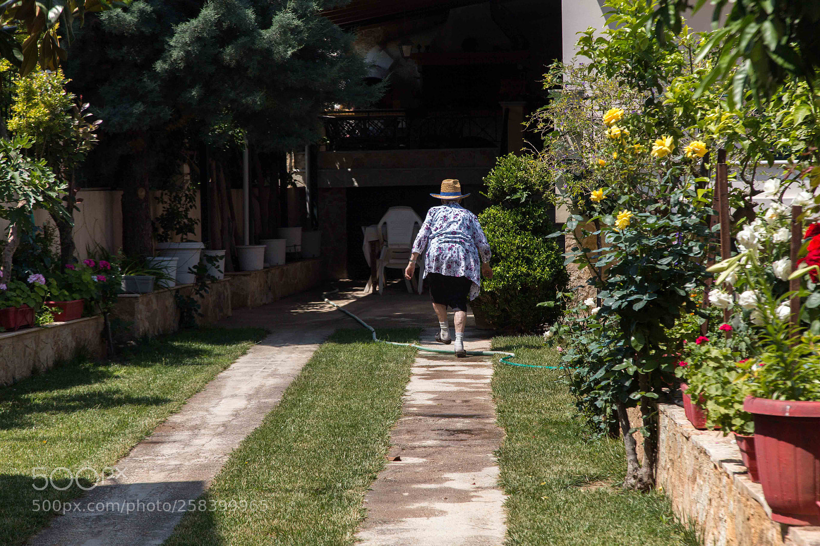 Canon EOS 6D sample photo. The garden photography