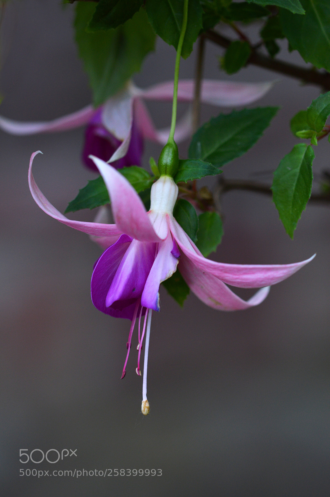 Nikon D3200 sample photo. Beauty in nature photography