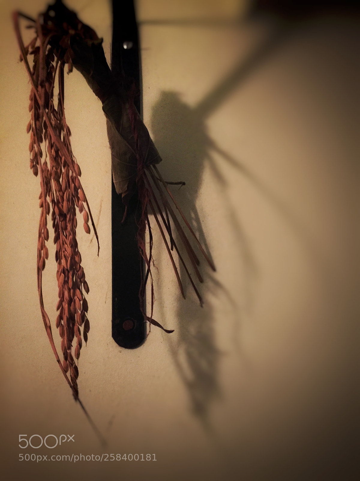 Apple iPhone 6 sample photo. Shadow  photography