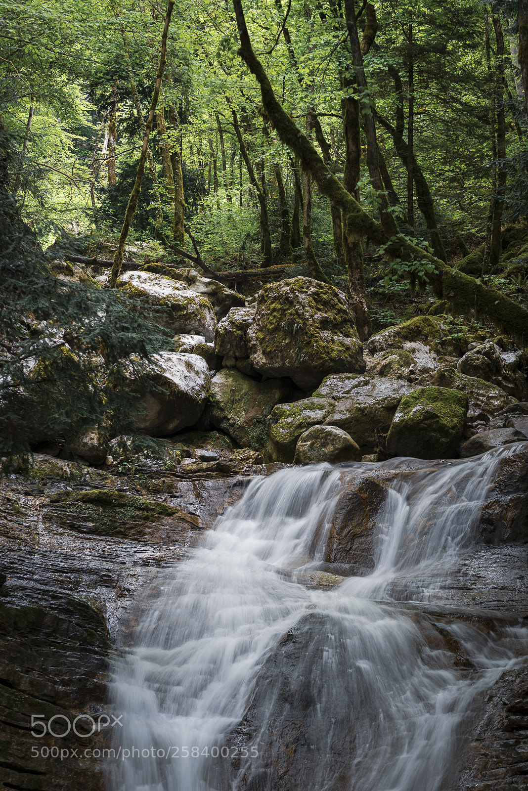 Nikon D810 sample photo. Ressources photography