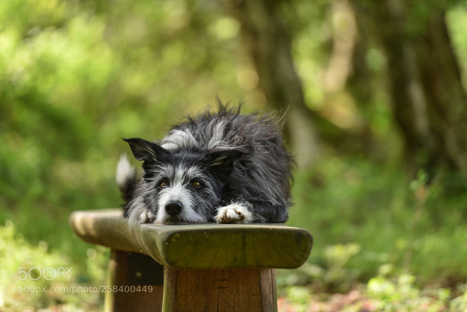 Nikon D810 sample photo. He can take a photography