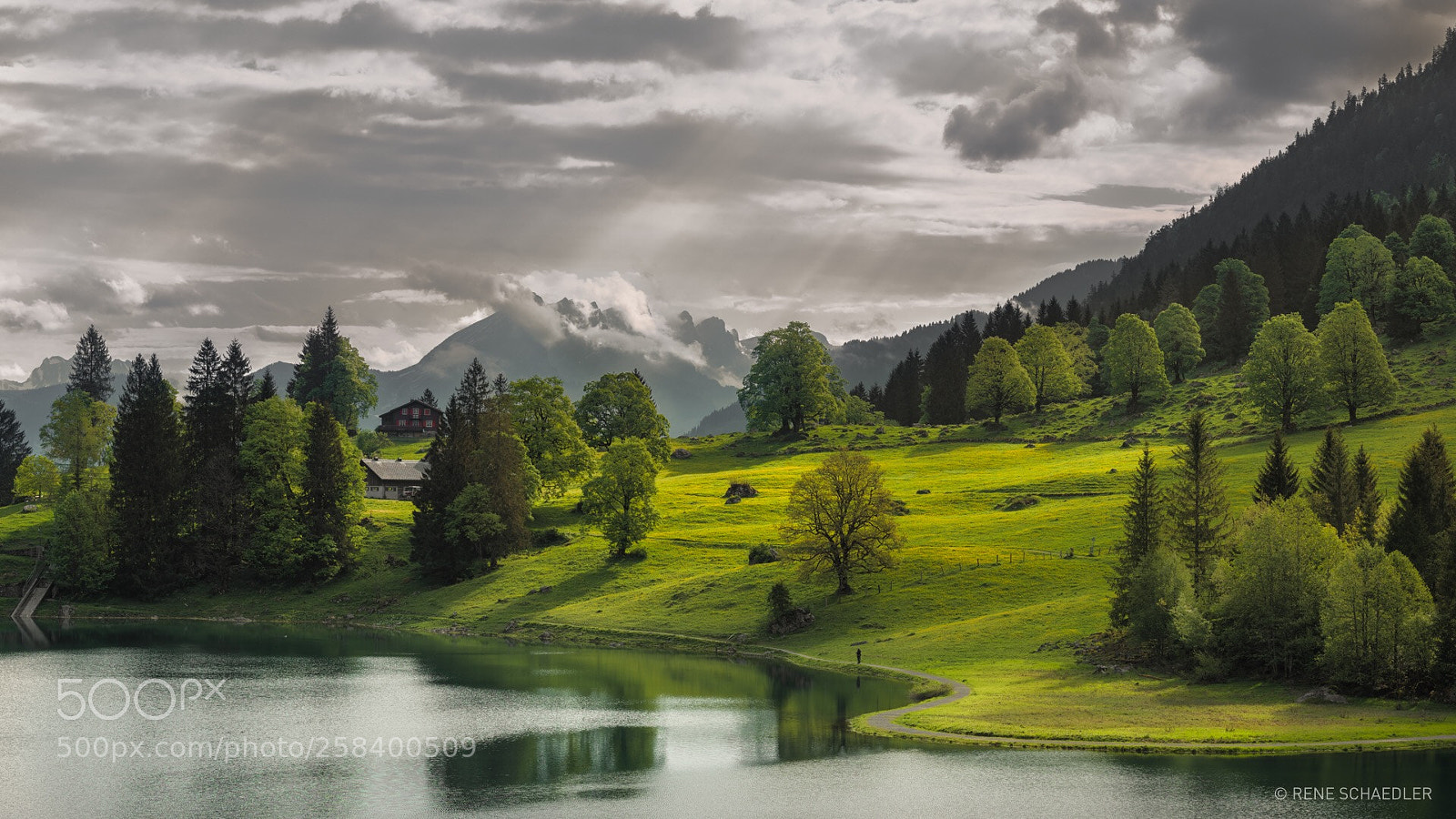 Nikon D750 sample photo. Obersee photography