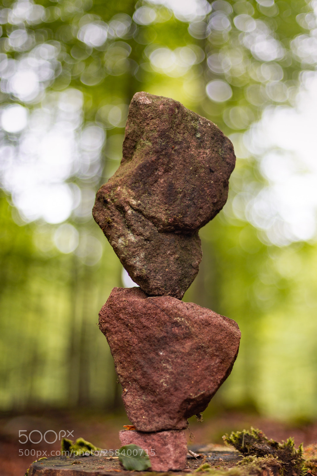 Canon EOS 6D sample photo. Balancing photography