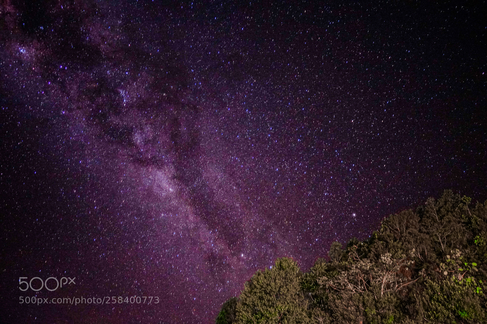 Sony a7 II sample photo. Purple milky way photography