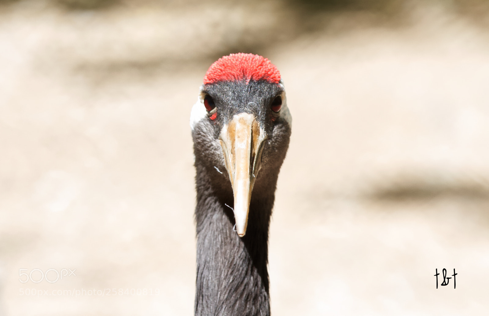 Canon EOS 7D sample photo. Untitled photography