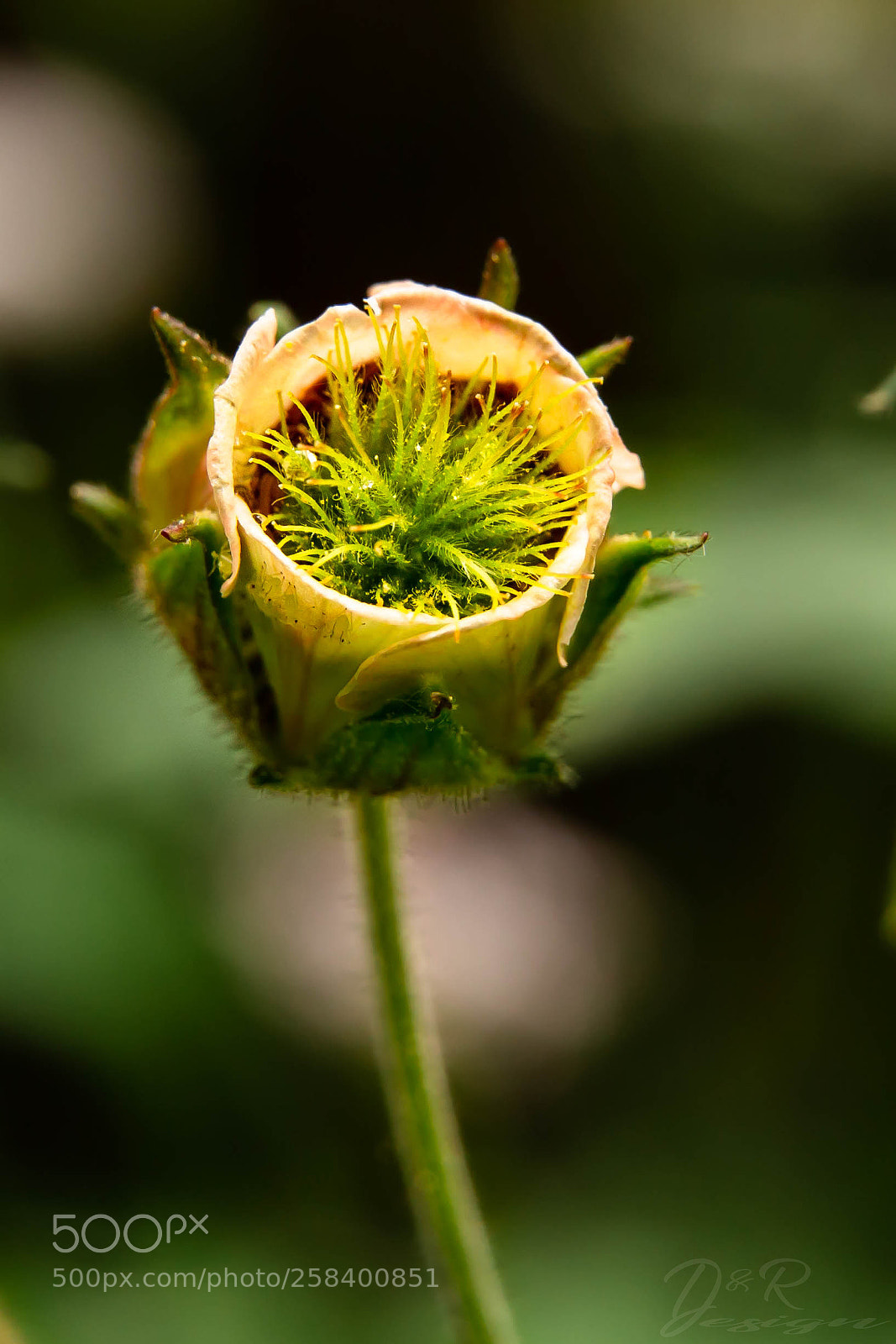 Canon EOS 6D sample photo. Here i am photography