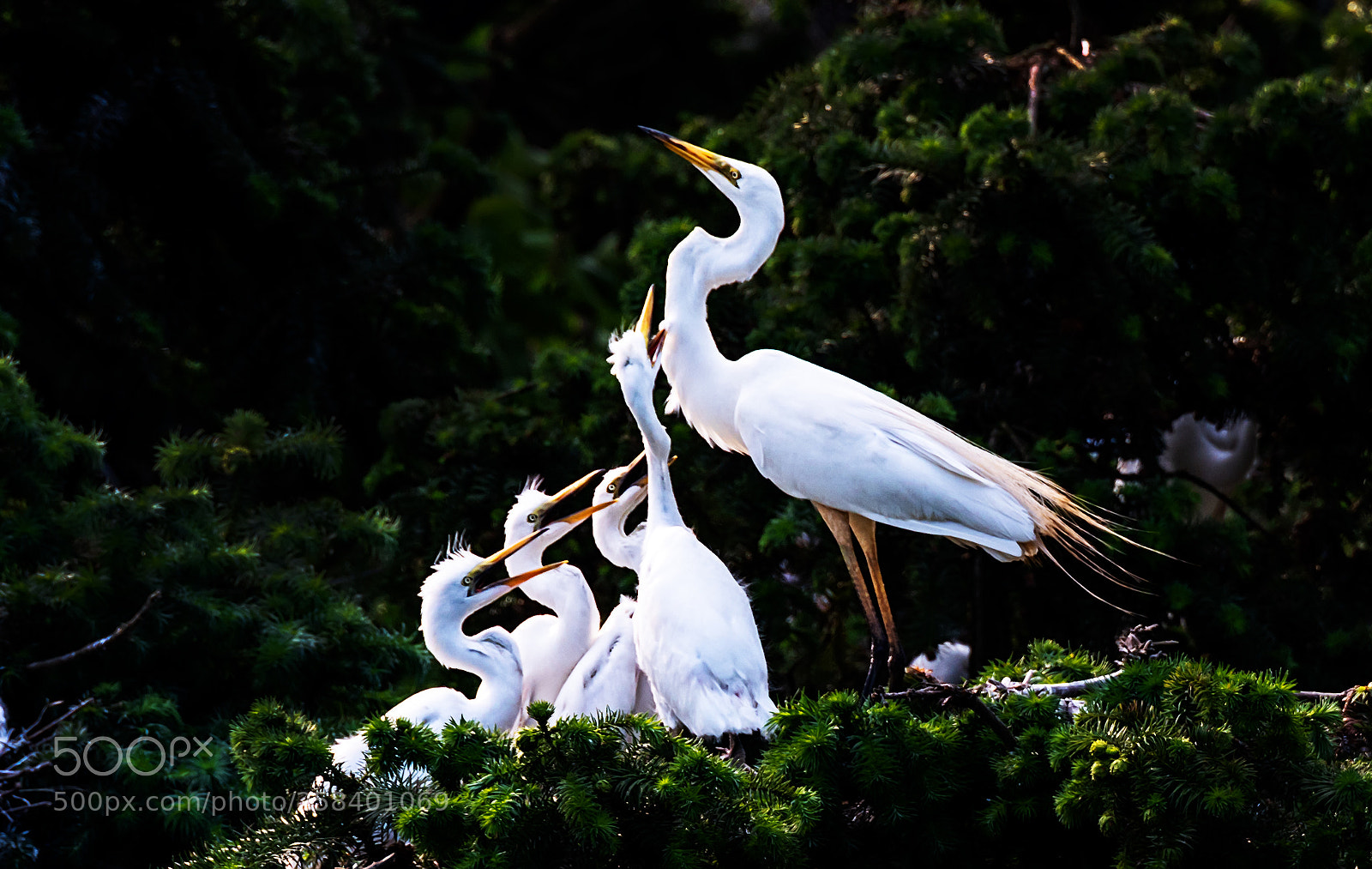 Nikon D810 sample photo. Untitled photography
