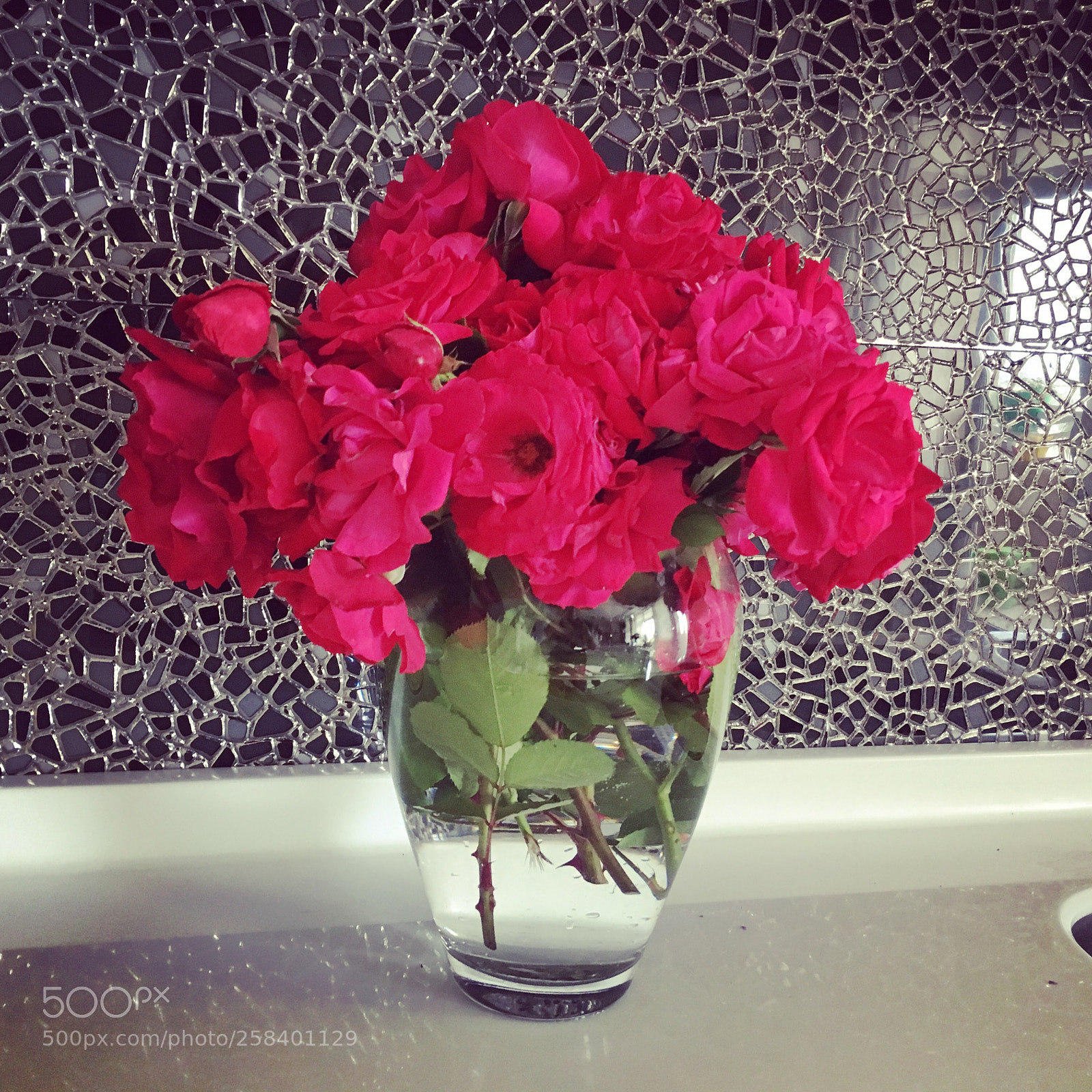 Apple iPhone 6s sample photo. Untitled photography