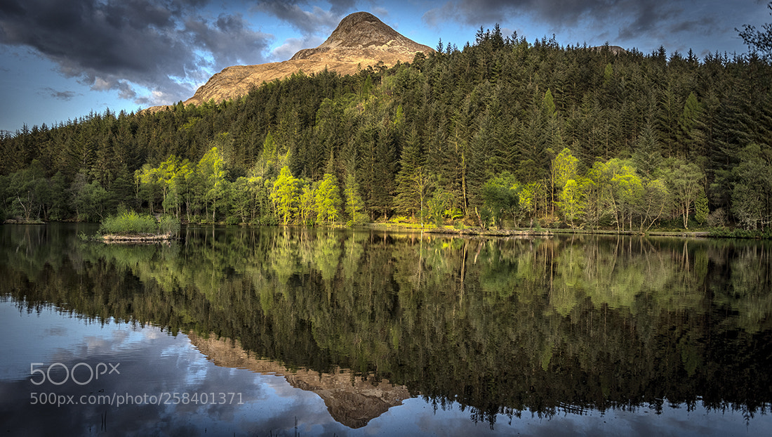 Nikon D810 sample photo. Paps reflection photography